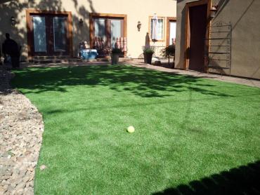 Artificial Grass Photos: Synthetic Pet Grass Apple Valley California Landscape